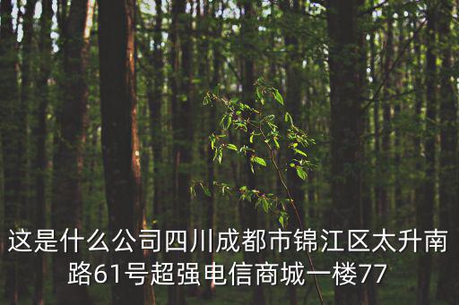 這是什么公司四川成都市錦江區太升南路61號超強電信商城一樓77