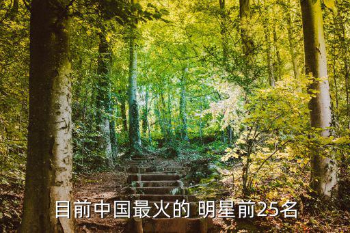 目前中國最火的 明星前25名