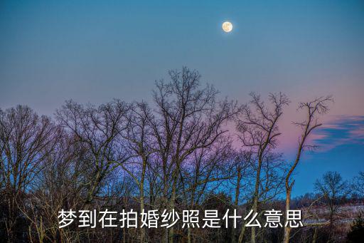 夢到在拍婚紗照是什么意思