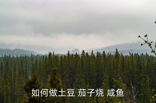 如何做土豆 茄子燒 咸魚