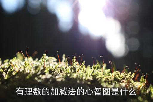 有理數(shù)的加減法的心智圖是什么