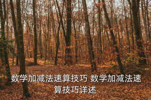  數學加減法速算技巧 數學加減法速算技巧詳述