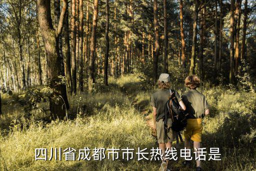 成都市長茶話會網上評價，四川省成都市市長熱線電話是