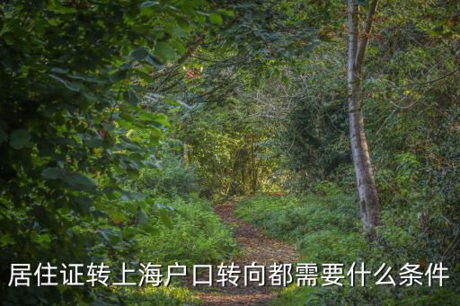 居轉戶條件 上海2022材料，上海居住證轉上海戶口需要什么條件我已經滿了7年但是我沒有職