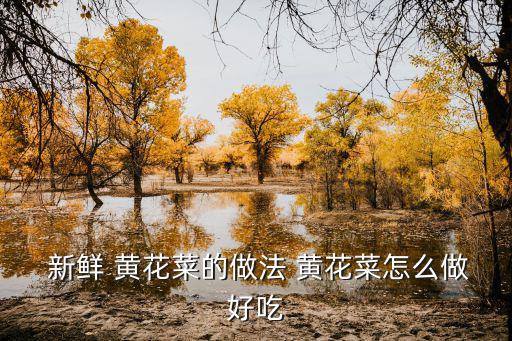  新鮮 黃花菜的做法 黃花菜怎么做好吃
