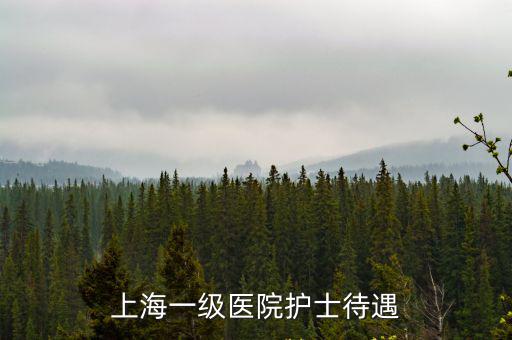 上海市第一人民醫院 待遇，上海醫院待遇