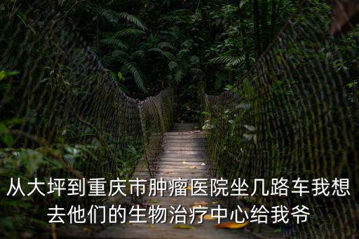 從大坪到重慶市腫瘤醫院坐幾路車我想去他們的生物治療中心給我爺