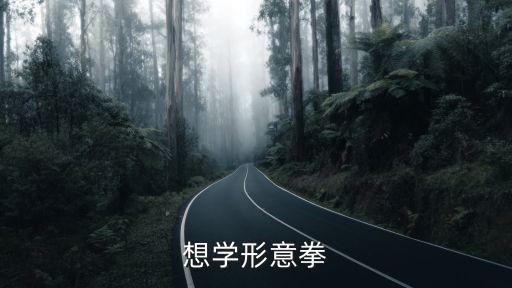 想學形意拳