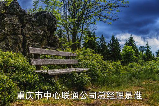 重慶市中心聯(lián)通公司總經(jīng)理是誰