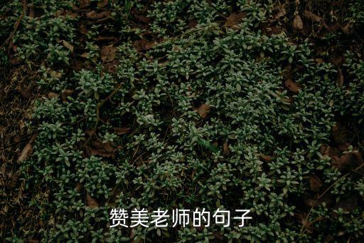 贊美老師的句子