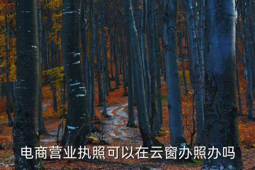 電商營業(yè)執(zhí)照可以在云窗辦照辦嗎