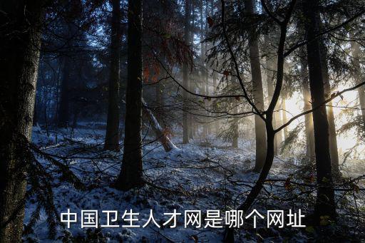 21wecan衛(wèi)生人才網，中國衛(wèi)生人才網是哪個網址
