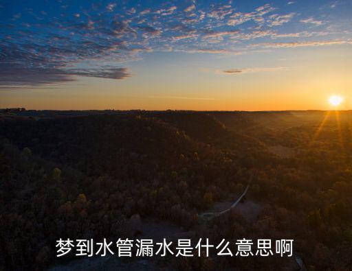 夢到水管漏水是什么意思啊