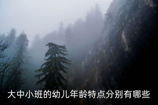 大中小班的幼兒年齡特點分別有哪些