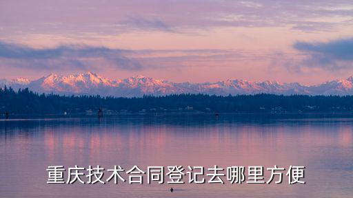 重慶技術合同登記去哪里方便
