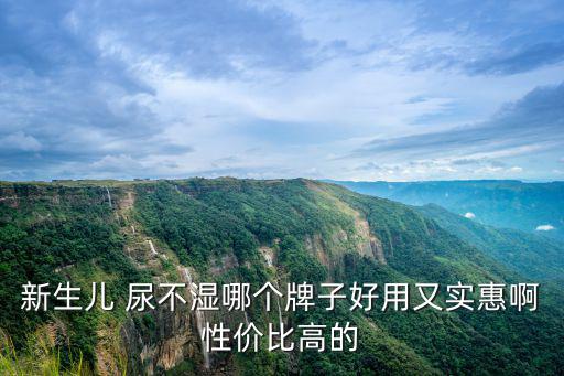 新生兒 尿不濕哪個牌子好用又實惠啊性價比高的