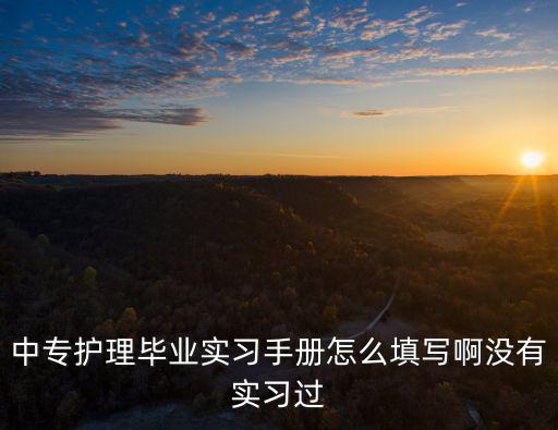 中專護理畢業實習手冊怎么填寫啊沒有實習過