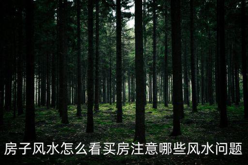 房子風水怎么看買房注意哪些風水問題