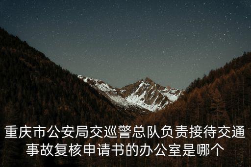 重慶市公安局交巡警總隊負責接待交通事故復核申請書的辦公室是哪個