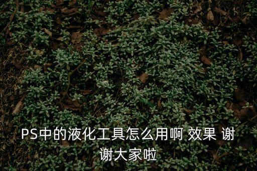 PS中的液化工具怎么用啊 效果 謝謝大家啦
