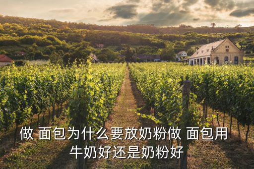 做 面包為什么要放奶粉做 面包用 牛奶好還是奶粉好