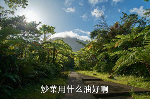 炒菜用什么油好啊