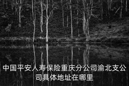重慶市渝北區金童路47號，重慶渝北區金童路郵編