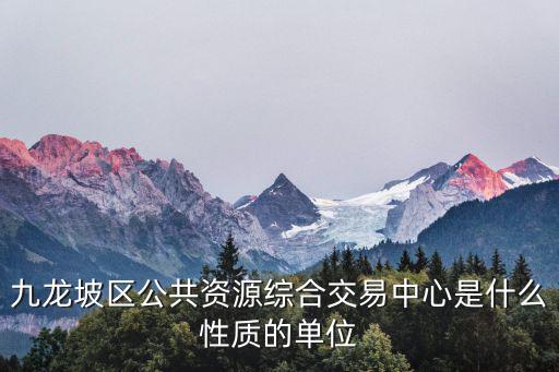 九龍坡區公共資源綜合交易中心是什么性質的單位