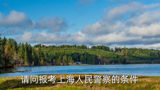請問報考上海人民警察的條件