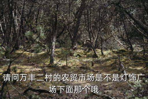 重慶市萬豐二村拆，請問萬豐二村的農貿市場是不是燈飾廣場下面那個哦