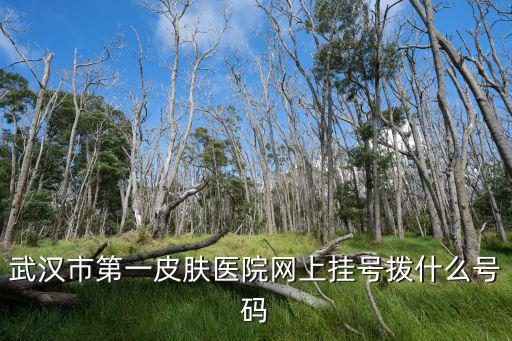 武漢市第一皮膚醫(yī)院網(wǎng)上掛號(hào)撥什么號(hào)碼