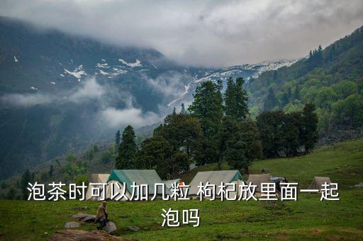  泡茶時可以加幾粒 枸杞放里面一起泡嗎