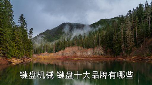  鍵盤機械 鍵盤十大品牌有哪些