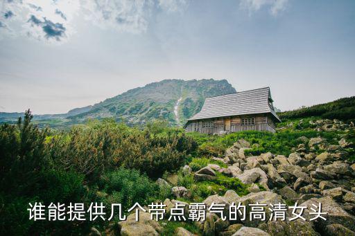 誰能提供幾個(gè)帶點(diǎn)霸氣的高清女頭