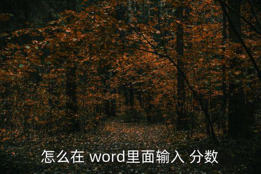 怎么在 word里面輸入 分?jǐn)?shù)