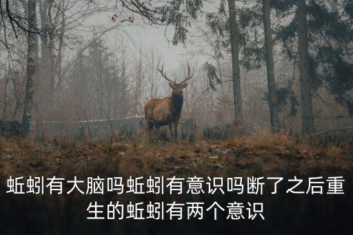 蚯蚓有大腦嗎蚯蚓有意識嗎斷了之后重生的蚯蚓有兩個意識