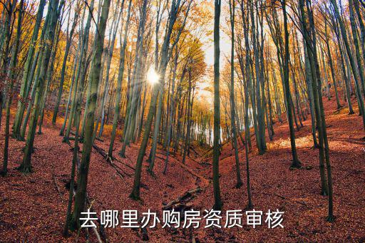 去哪里辦購房資質審核