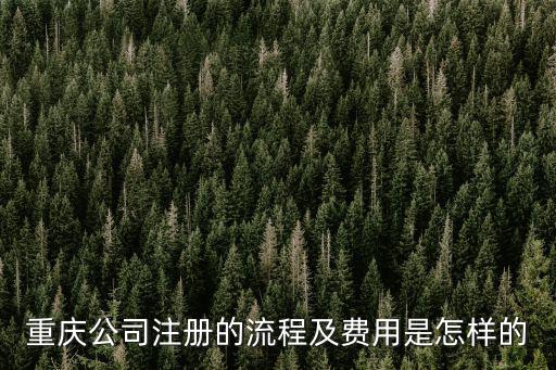 重慶公司注冊的流程及費(fèi)用是怎樣的