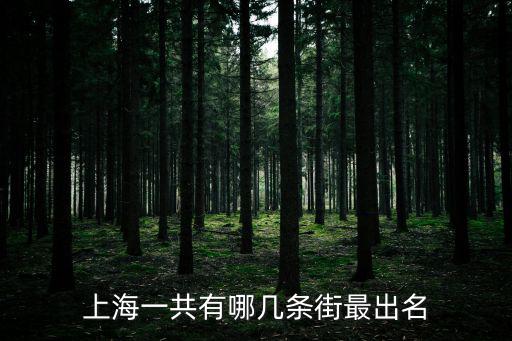 上海一共有哪幾條街最出名