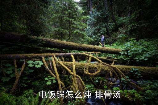 電飯鍋怎么燉 排骨湯