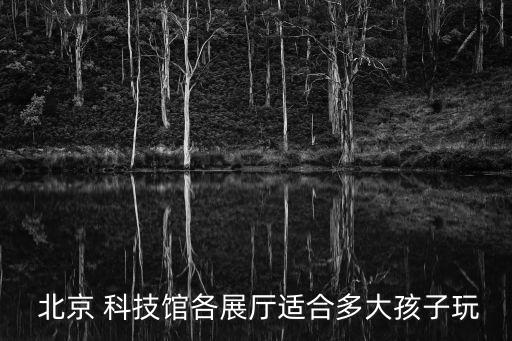  北京 科技館各展廳適合多大孩子玩