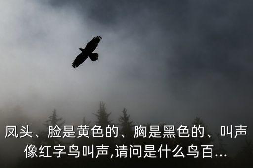 鳳頭、臉是黃色的、胸是黑色的、叫聲像紅字鳥叫聲,請問是什么鳥百...