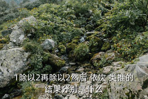 1除以2再除以2然后 依次 類推的結果分別是什么