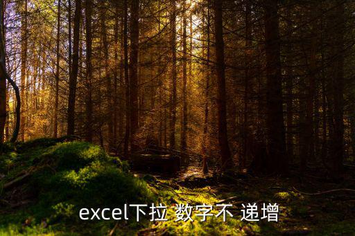 excel下拉 數(shù)字不 遞增
