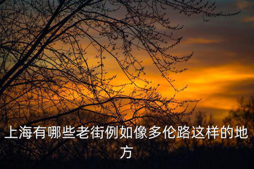 上海有哪些老街例如像多倫路這樣的地方
