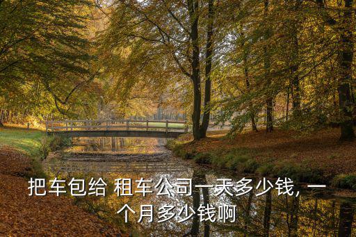 把車包給 租車公司一天多少錢, 一個月多少錢啊