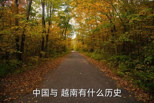 越南歷史,越南歷經幾個封建王朝繼續向南擴張