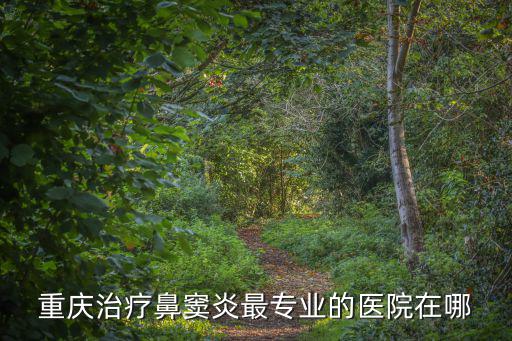重慶治療鼻竇炎最專業(yè)的醫(yī)院在哪
