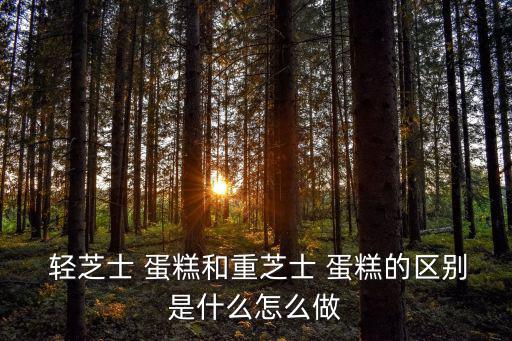  輕芝士 蛋糕和重芝士 蛋糕的區別是什么怎么做