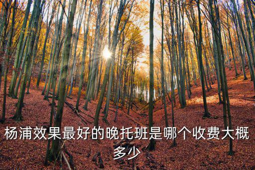 楊浦上實劍橋住宿費，楊浦效果最好的晚托班是哪個收費大概多少
